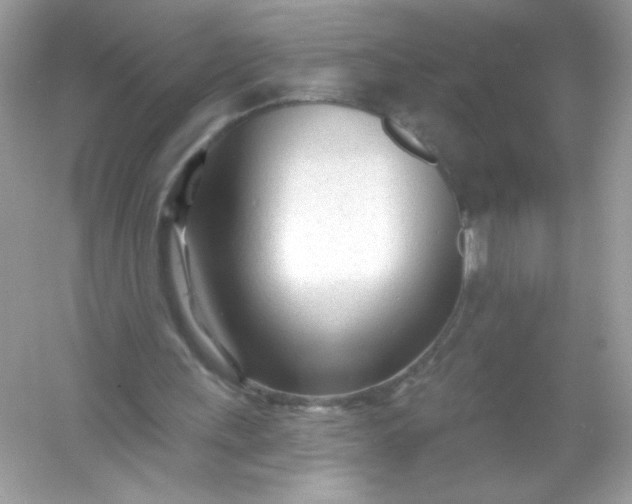 X0000053160243200507251916