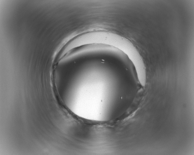 X0000053160244200507251916