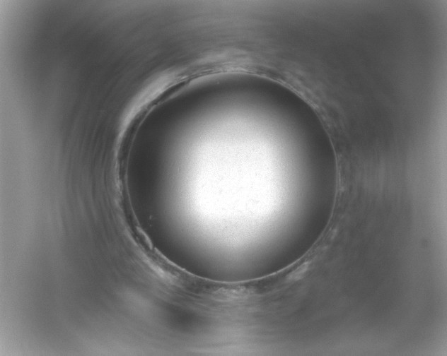 X0000053160245200507251916