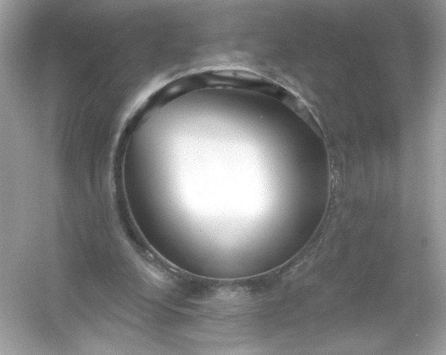 X0000053160248200507251916