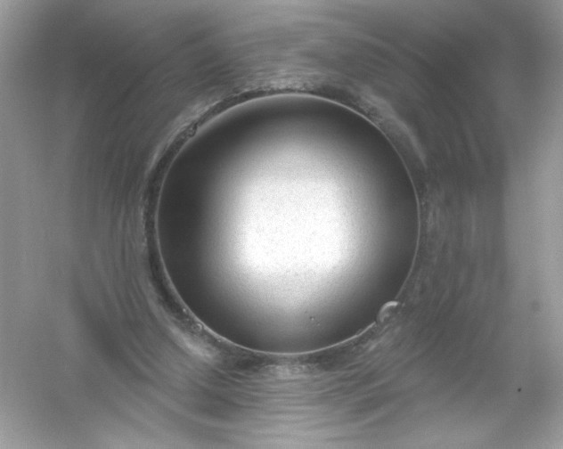 X0000053160250200507251916
