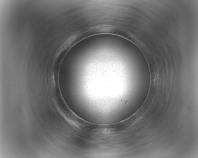 X0000053160254200507251916