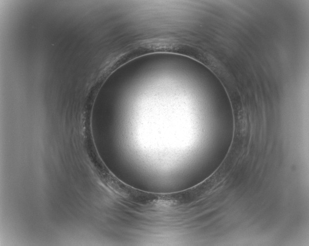 X0000053160255200507251916