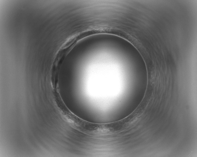 X0000053160256200507251916
