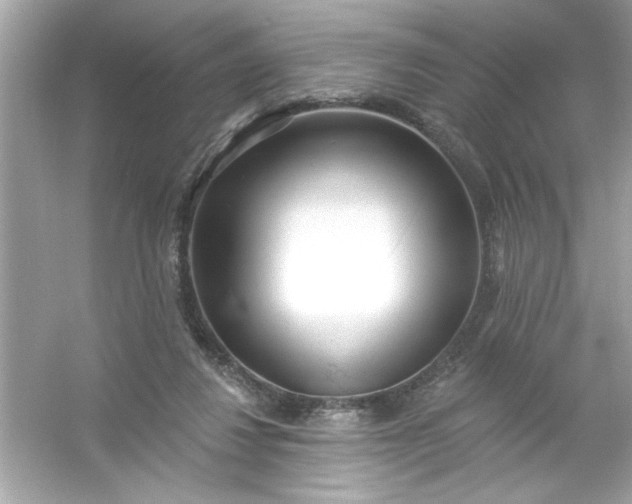 X0000053160260200507251916