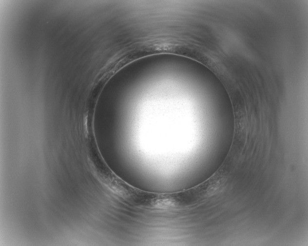 X0000053160262200507251916
