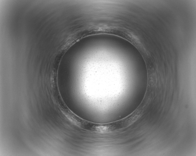 X0000053160265200507251916