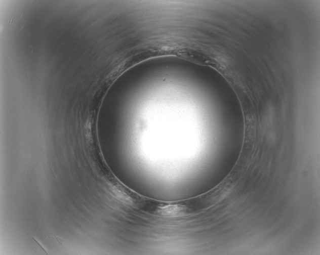 X0000053160269200507251916