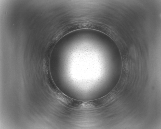 X0000053160270200507251916