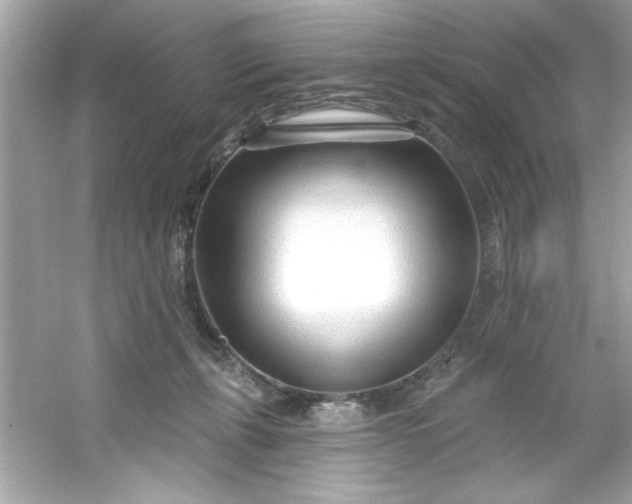 X0000053160271200507251916