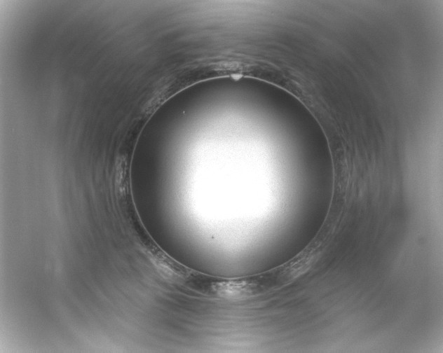 X0000053160273200507251916
