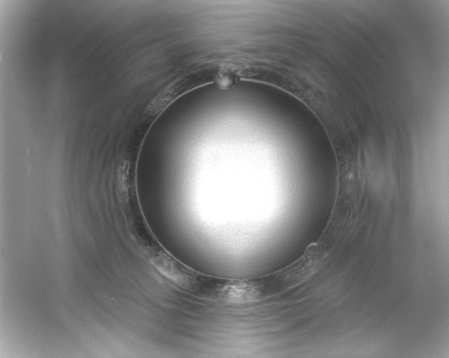 X0000053160275200507251916