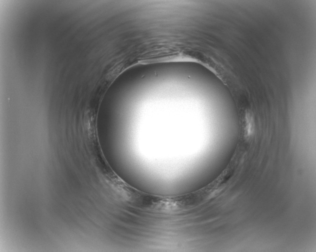 X0000053160276200507251916