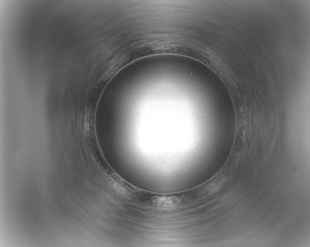 X0000053160277200507251916