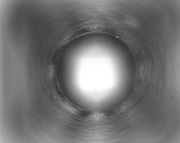 X0000053160278200507251916