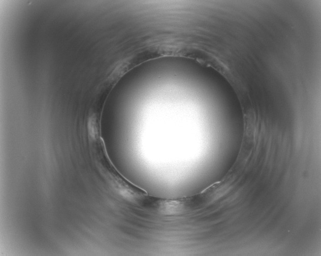 X0000053160287200507251916