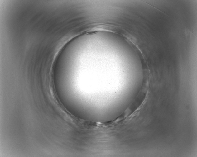 X0000053160289200507251916