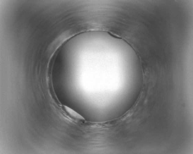 X0000053160290200507251916