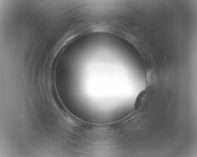 X0000053160291200507251916