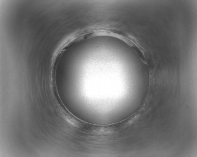 X0000053160293200507251916