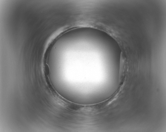 X0000053160294200507251916