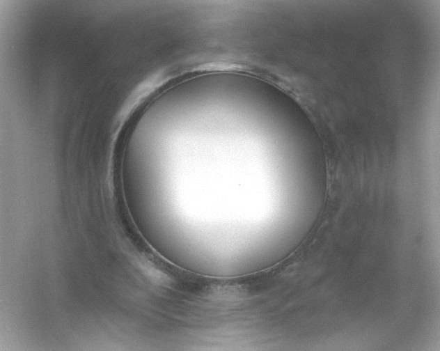 X0000053160296200507251915