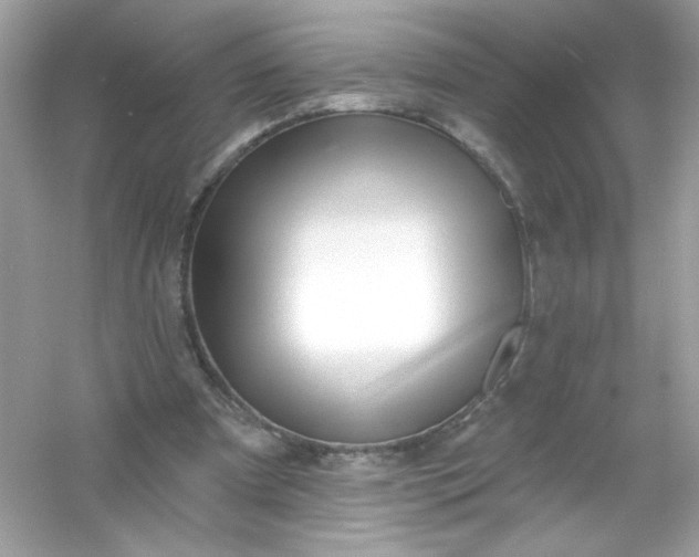 X0000053160297200507251915