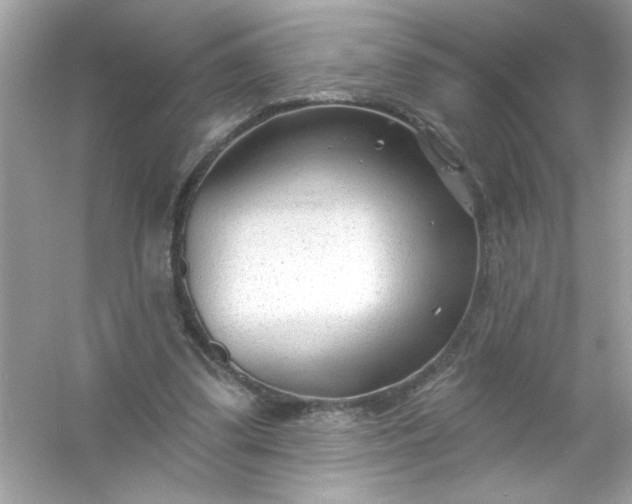 X0000053160299200507251915