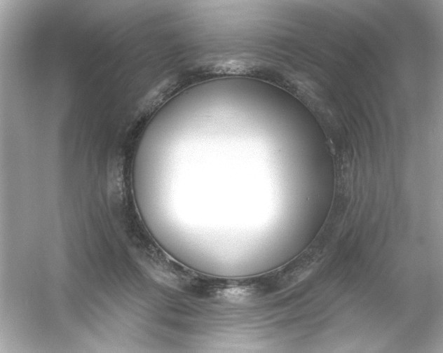X0000053160312200507251915