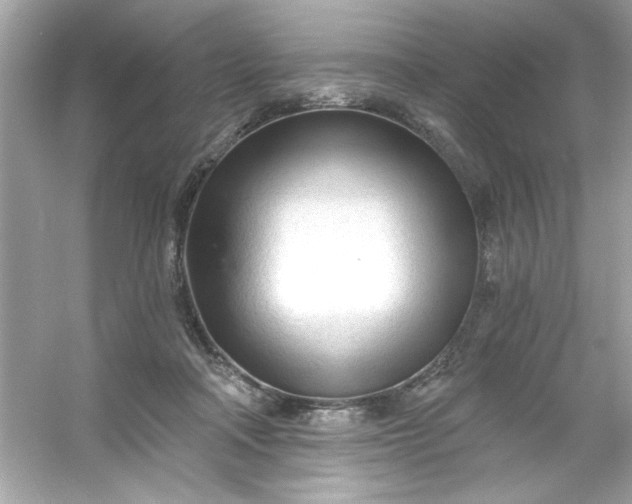 X0000053160314200507251915