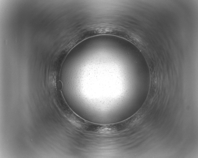 X0000053160315200507251915