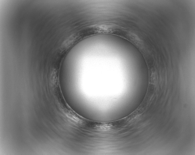 X0000053160318200507251915