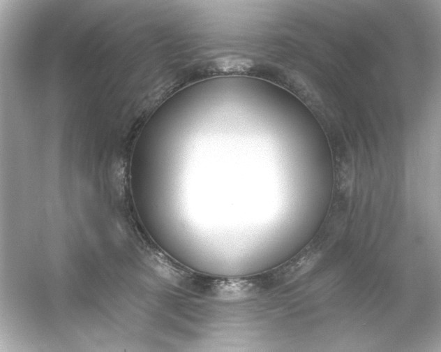 X0000053160321200507251915