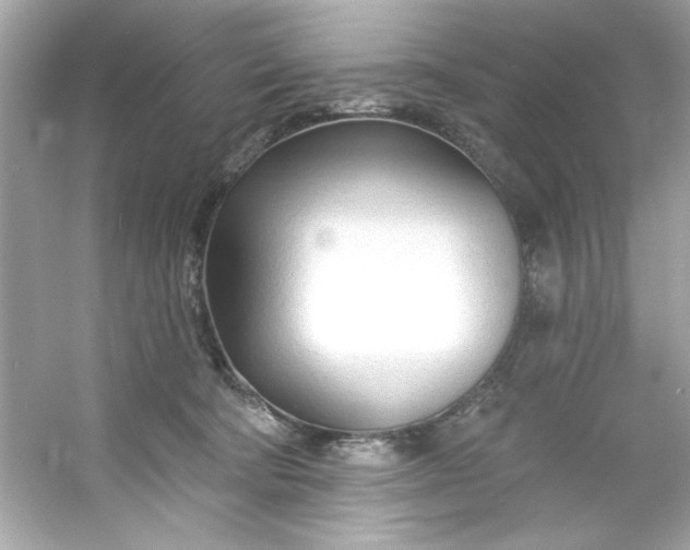 X0000053160322200507251915