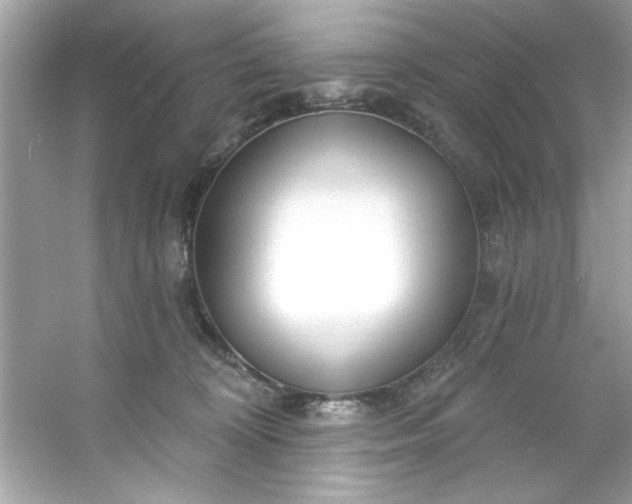 X0000053160324200507251915
