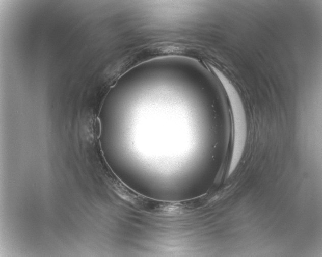 X0000053160325200507251915