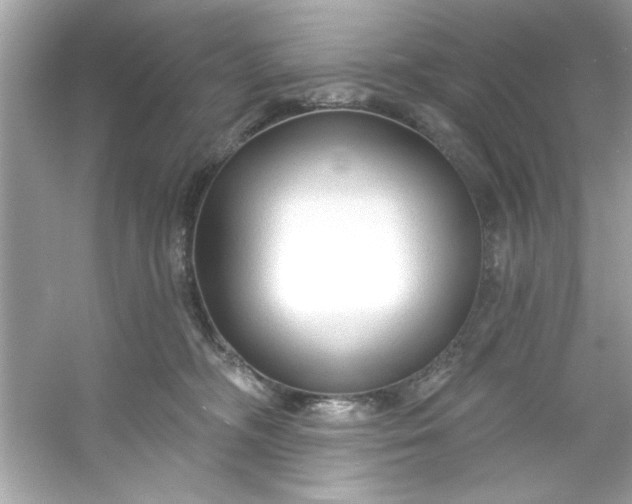 X0000053160326200507251915