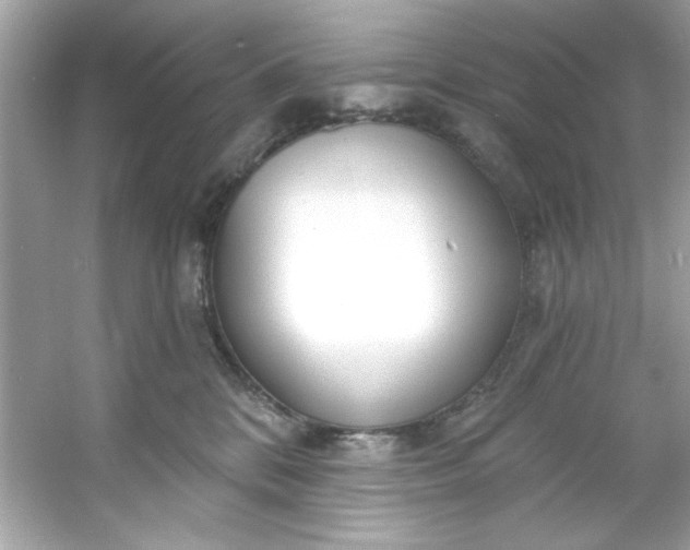 X0000053160328200507251915
