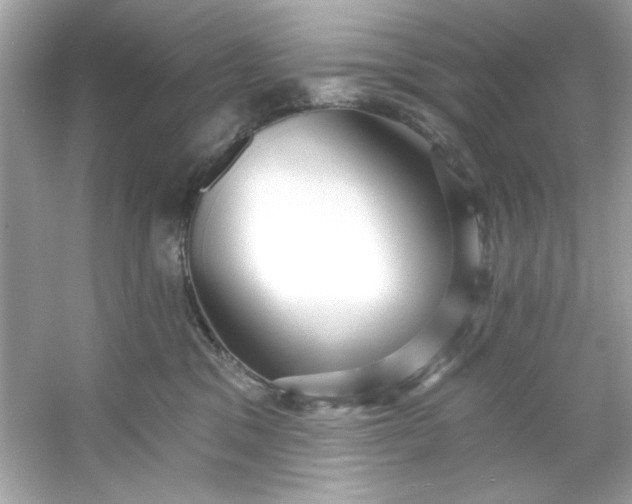 X0000053160329200507251915