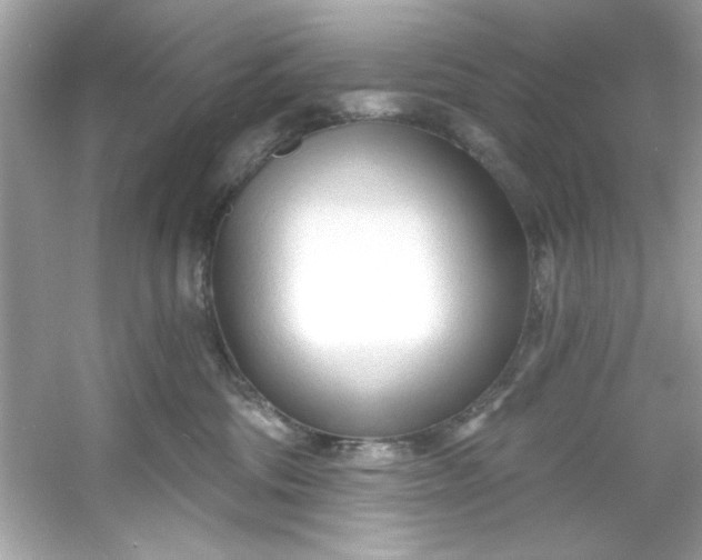 X0000053160330200507251915
