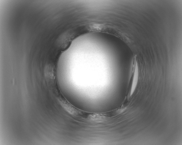 X0000053160331200507251915