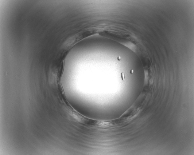 X0000053160333200507251915