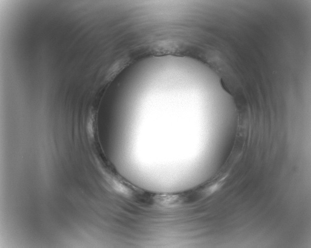 X0000053160334200507251915