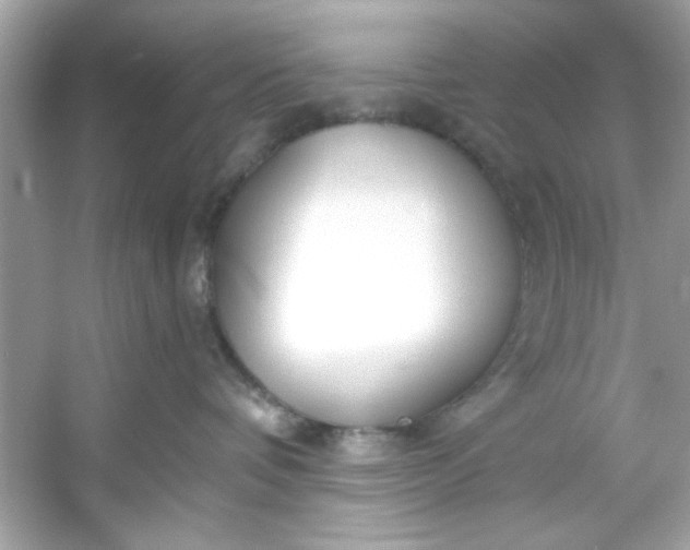 X0000053160336200507251915