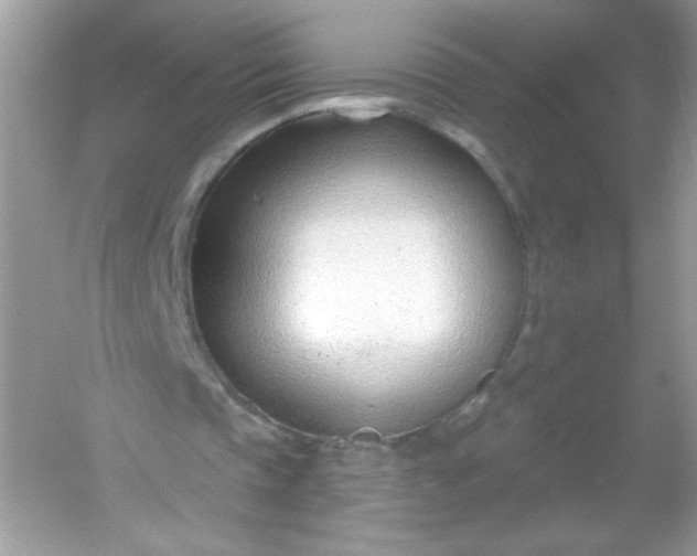 X0000053160337200507251914