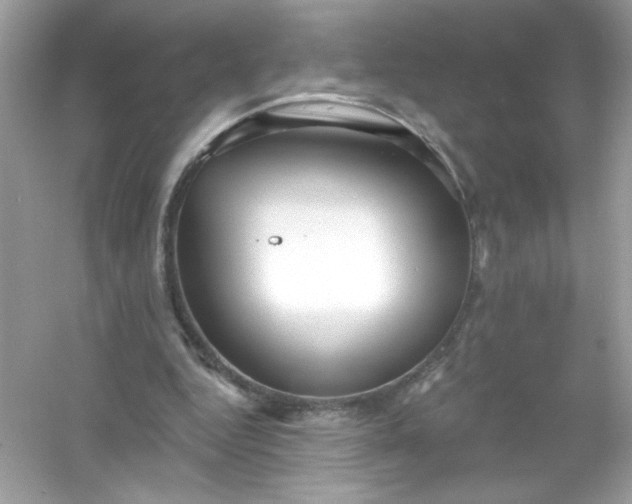 X0000053160344200507251914