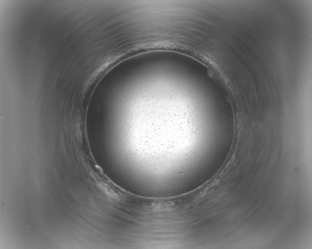 X0000053160345200507251914