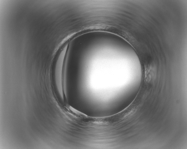 X0000053160348200507251914