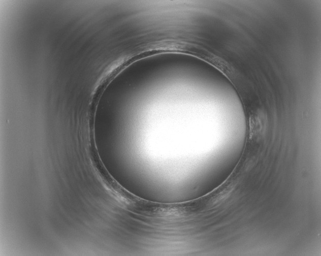 X0000053160349200507251914