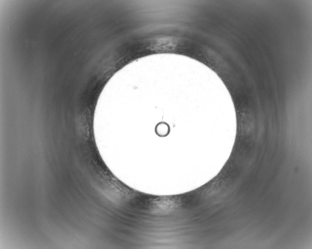 X0000053160370200507251915
